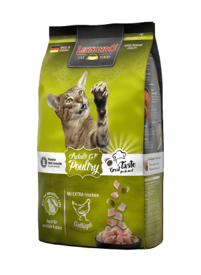 Leonardo Adult GF Poultry Chicken1