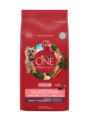 One Dog Adulto Mini & Pequeños Cordero1