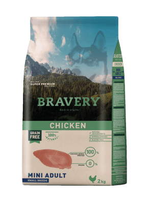 Bravery Dog Chicken Mini Adulto1