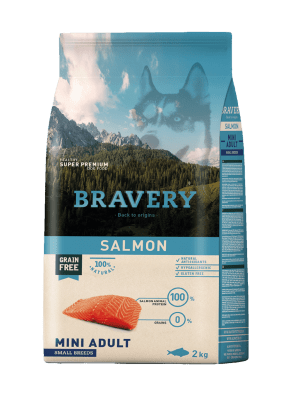 Bravery Dog Salmón Mini Adulto1