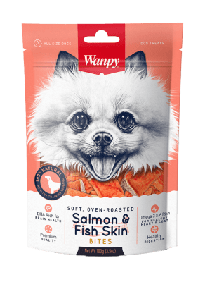 Wanpy Dog1