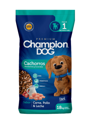 Champion Dog Cachorro1