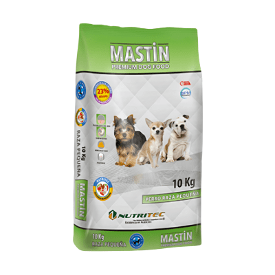 Mastin Adulto Raza Pequeña1