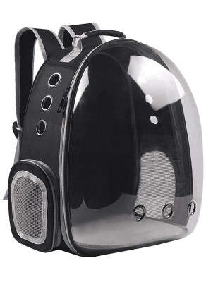 MOCHILA TRANSPARENTE1