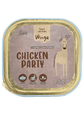 Snack Winga Chiken party1