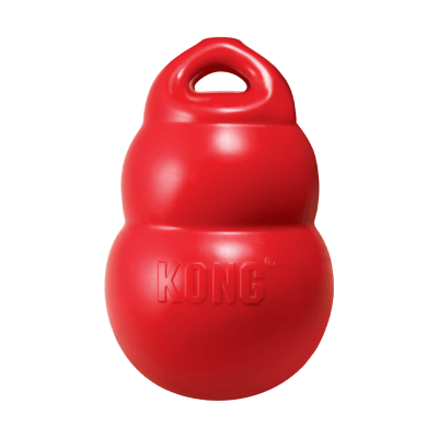 Kong Bounzer1