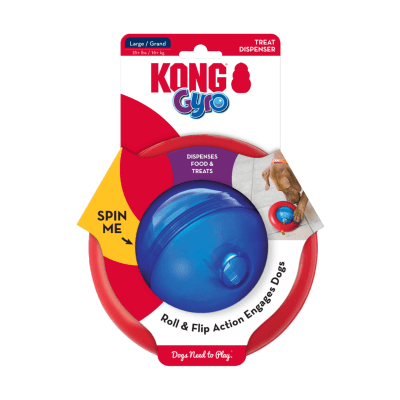 Kong Gyro1