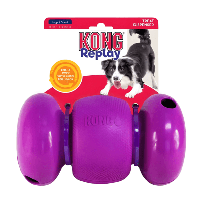 Kong Replay1