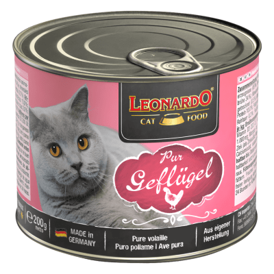 Lata Leonardo Ave1