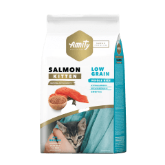 Amity Gato Kitten