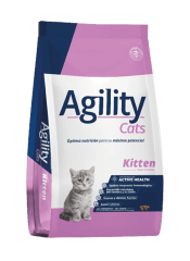 Agility Gato Kitten