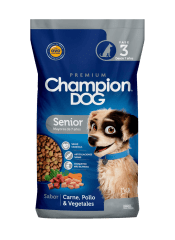 Champion Dog Senior