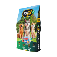 KN22