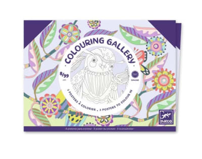 Djeco - Posters para colorear Aves1