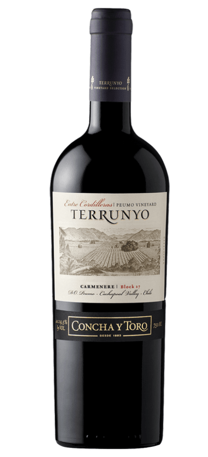 TERRUNYO CARMENERE 750 ML 0