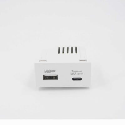 Modulo Cargador USB + tipo C Super Charge UltraSmart Style White 1