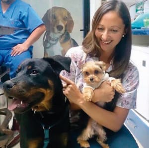 SkinVet: Dermatología Veterinaria