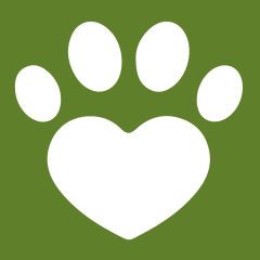 Logo de skinvet