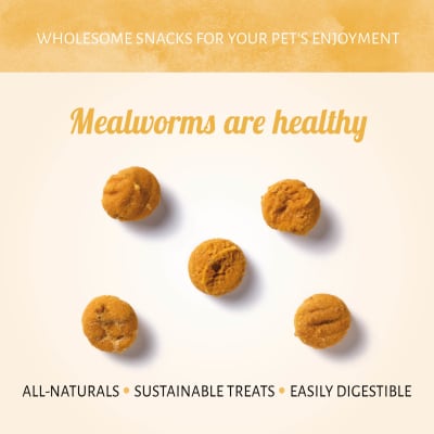 Antos Insecta Mealworm & Pumpkin 100 gr