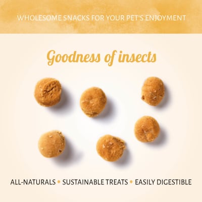 Antos Insecta Black Soldier Fly & Apple 100 gr