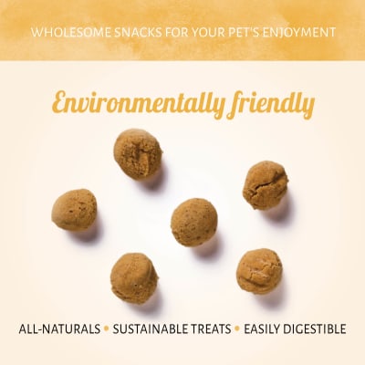 Antos Insecta Cricket & Sweet Potato 100 gr