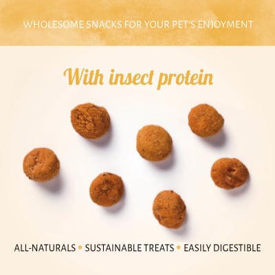 Antos Insecta Silkworm & Carrot 100 gr