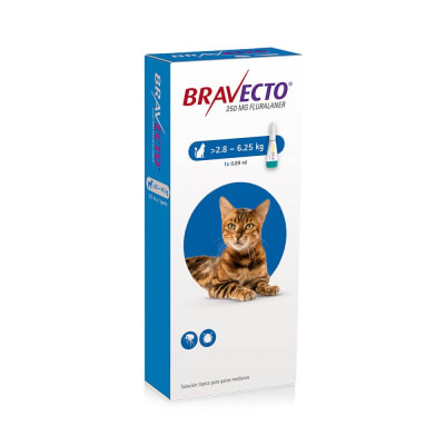 BRAVECTO GATO 2,8 a 6,5 Kg