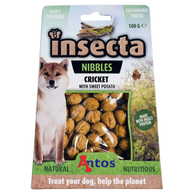 Antos Insecta Cricket & Sweet Potato 100 gr