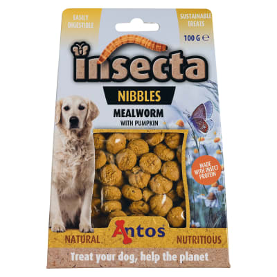 Antos Insecta Mealworm & Pumpkin 100 gr