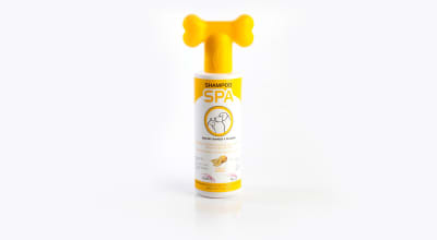 Triton Nice SPA