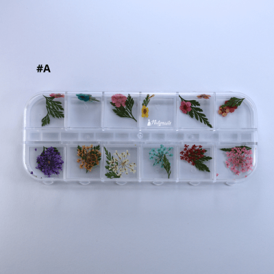 FLORES SECA EN CAJA X12UN