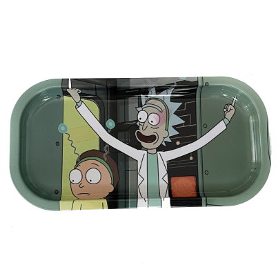 Bandeja Rick & Morty Mediana 10x20Cm1