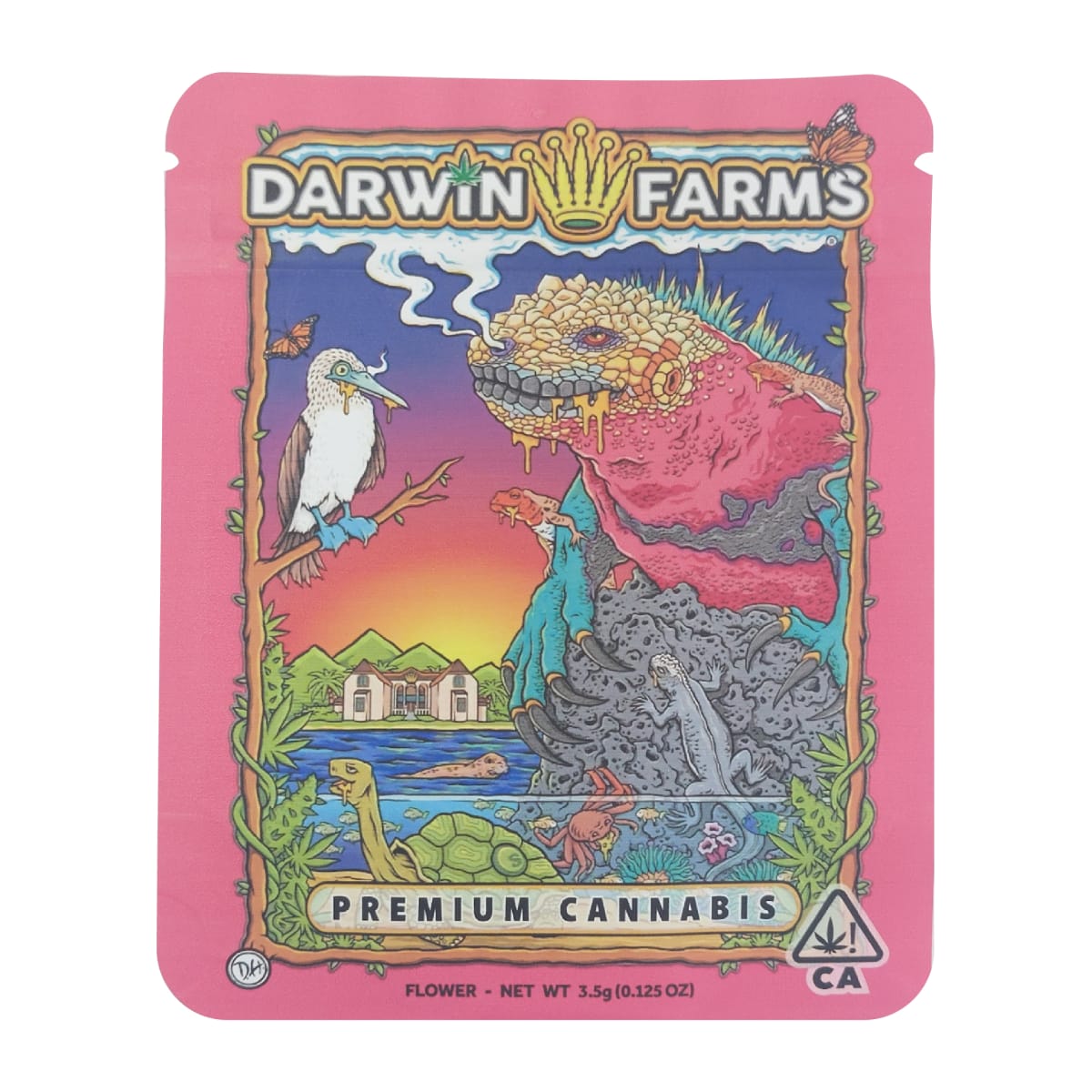 Bolsa Hermetica Antiolor Cookies2