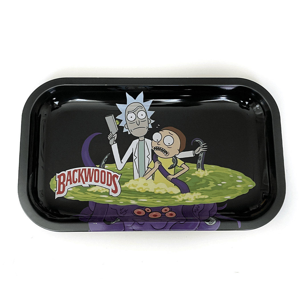 Bandeja Rick & Morty Grande 16x27Cm2