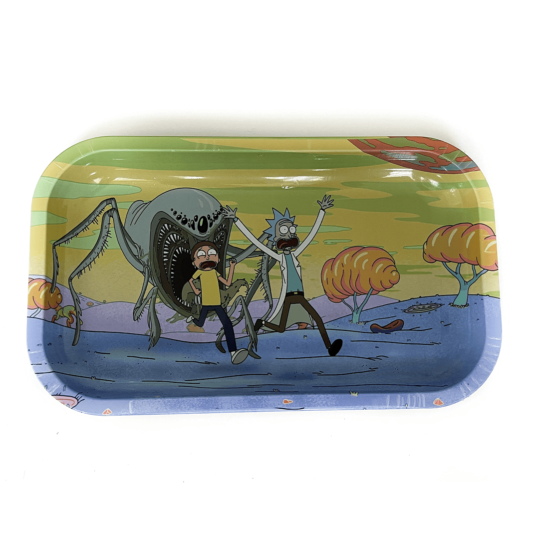 Bandeja Rick & Morty Grande 16x27Cm3