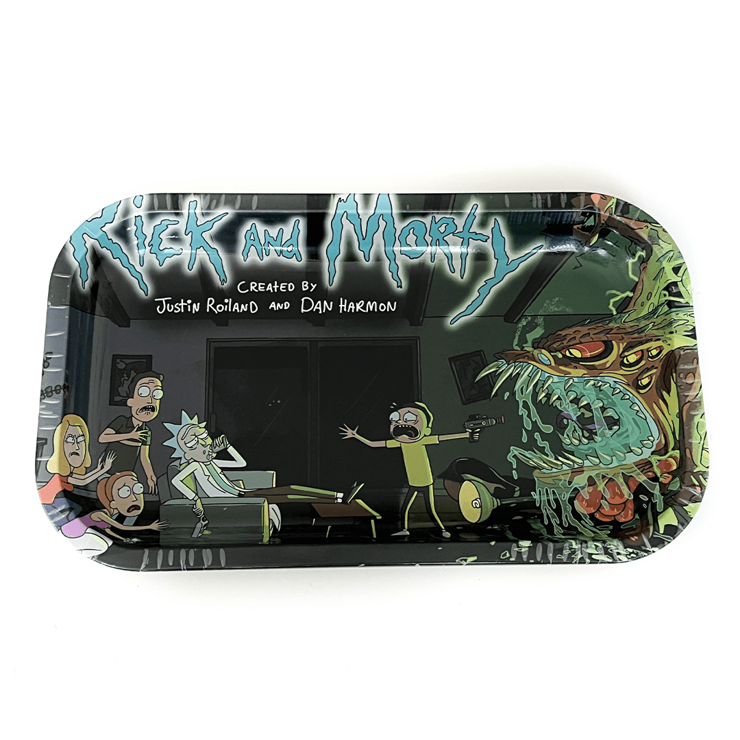 Bandeja Rick & Morty Grande 16x27Cm8