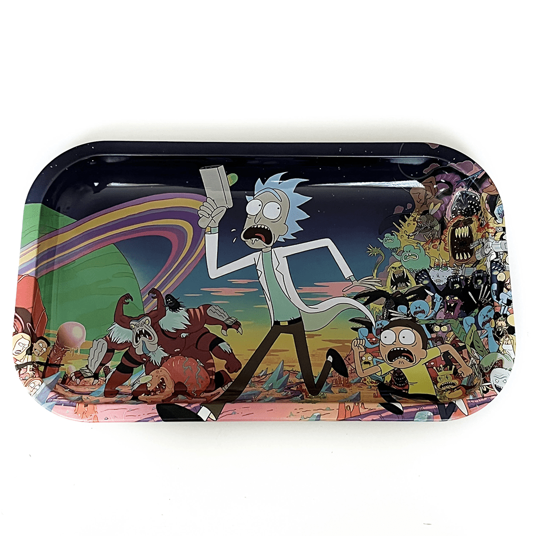 Bandeja Rick & Morty Grande 16x27Cm9