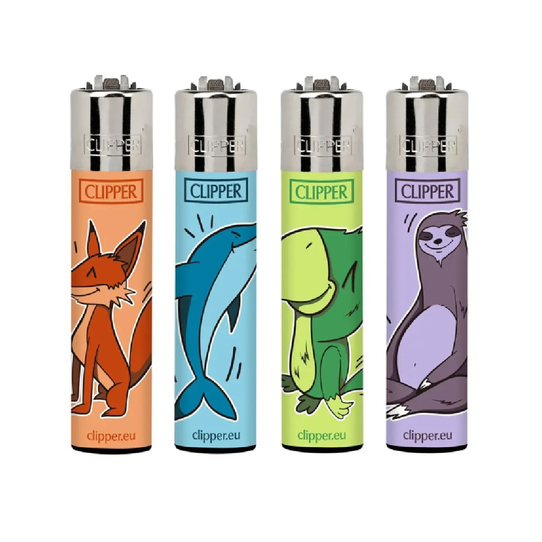 Encendedor Clipper Display 24 unidades3