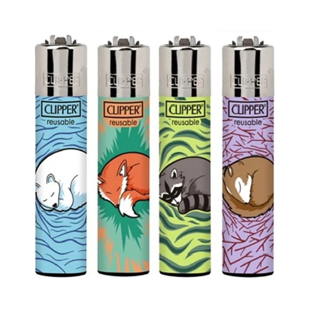 Encendedor Clipper Display 24 unidades 7