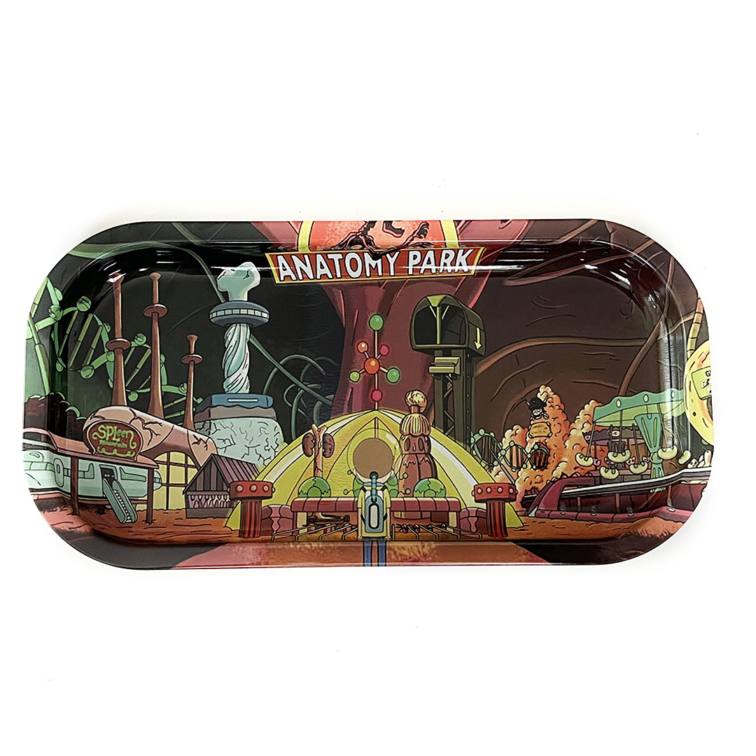 Bandeja Rick & Morty Mediana 10x20Cm3