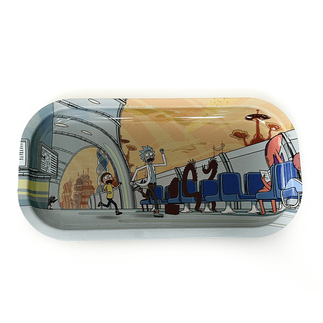 Bandeja Rick & Morty Mediana 10x20Cm5