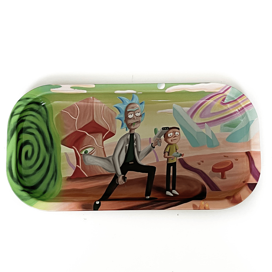 Bandeja Rick & Morty Mediana 10x20Cm13