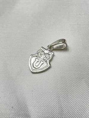 COLGANTE MEDALLA U. DE CHILE1