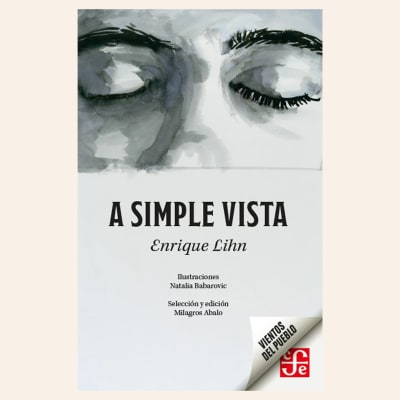 A simple vista | Enrique Lihn