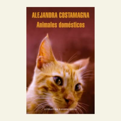 Animales domésticos | Alejandra Costamagna 1