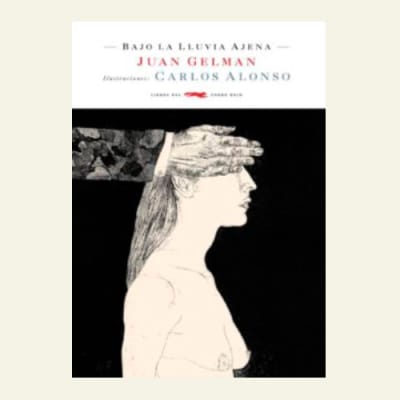 Bajo la lluvia ajena | Juan Gelman
