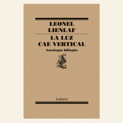 La luz cae vertical | Leonel Lienlaf1