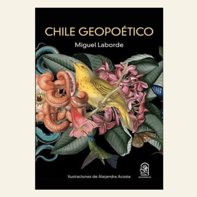 Chile Geopoético | Miguel Laborde1