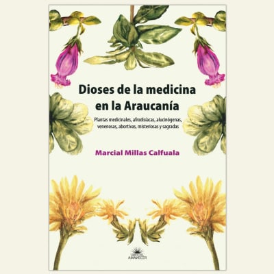 Dioses de la medicina en la Araucanía | Marcial Millas1