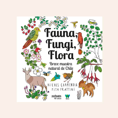 Fauna, fungi, flora | Nieves Garmendia